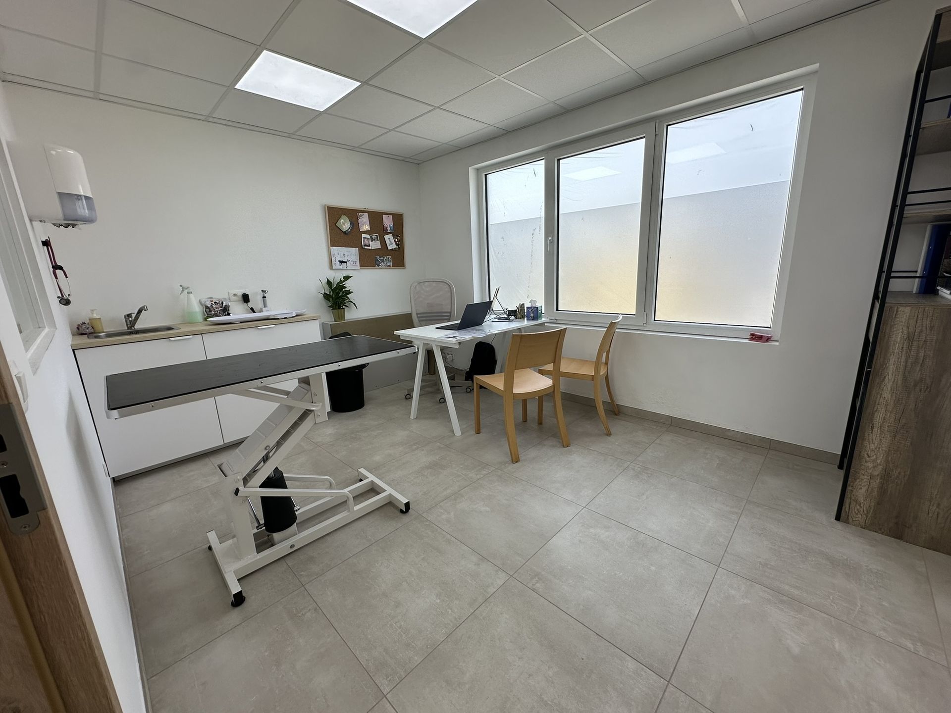Salle de consultation en dermatologie du cabinet vétérinaire Palina, équipée pour le diagnostic, les examens cutanés et le traitement des maladies de la peau, des oreilles et du pelage des chiens, chats et animaux de compagnie.