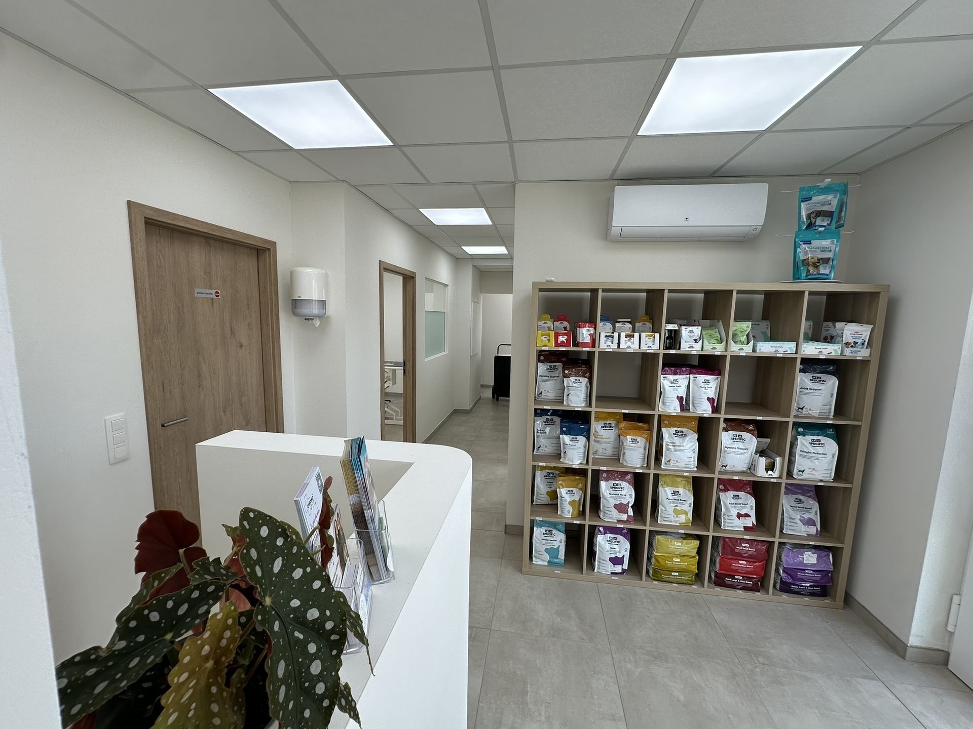 Accueil du cabinet vétérinaire Palina avec espace conseils et alimentation vétérinaire pour chiens et chats.